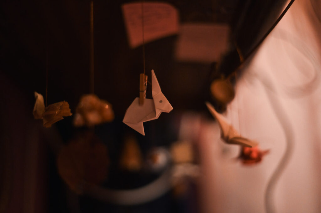 DSC 0524 00106 1024x681