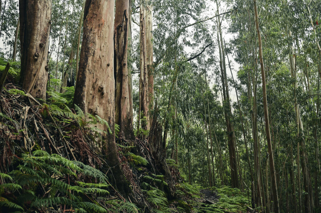 DSC 6457 00131 1024x681