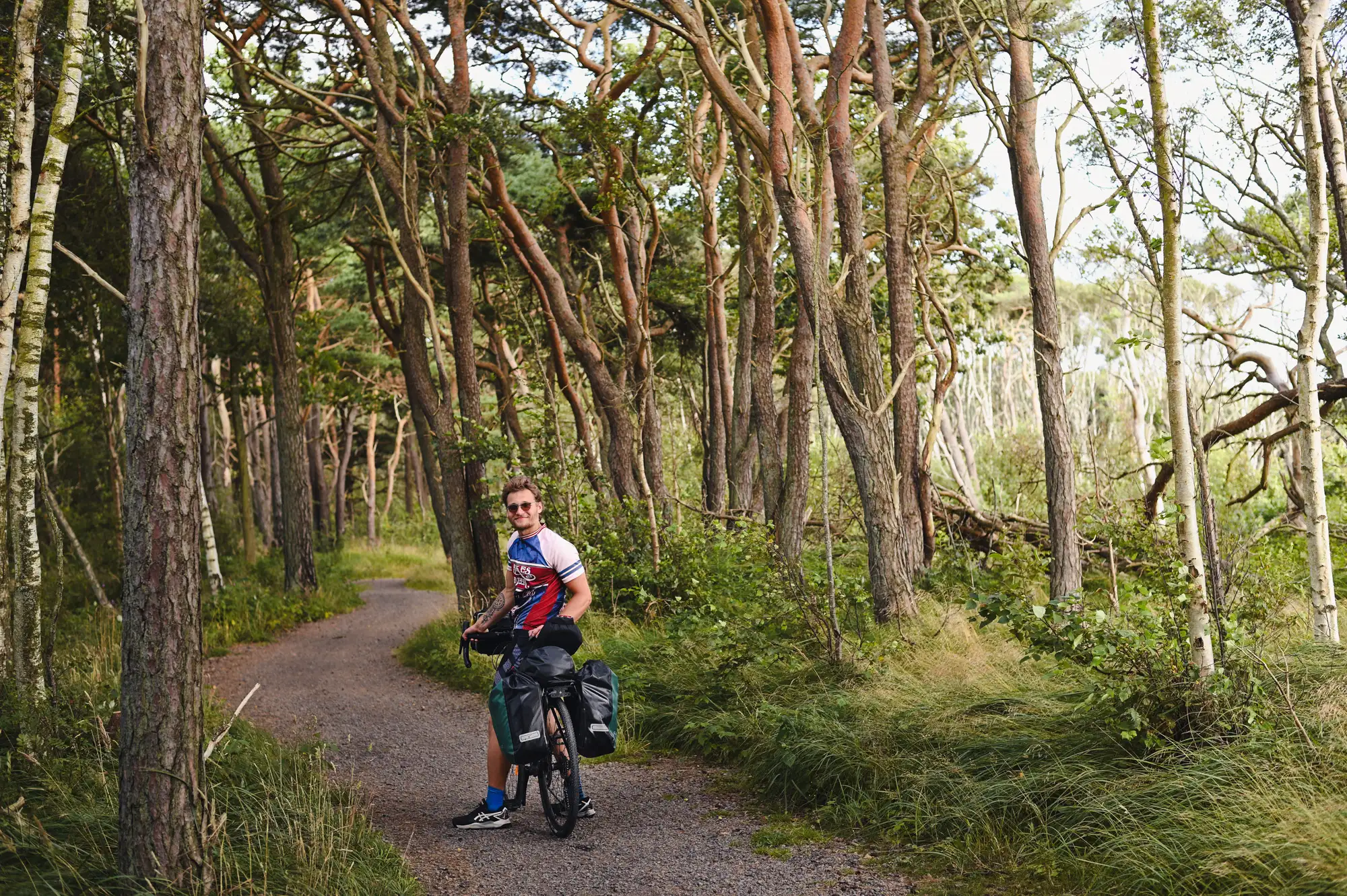 Cyclist riding through a forest