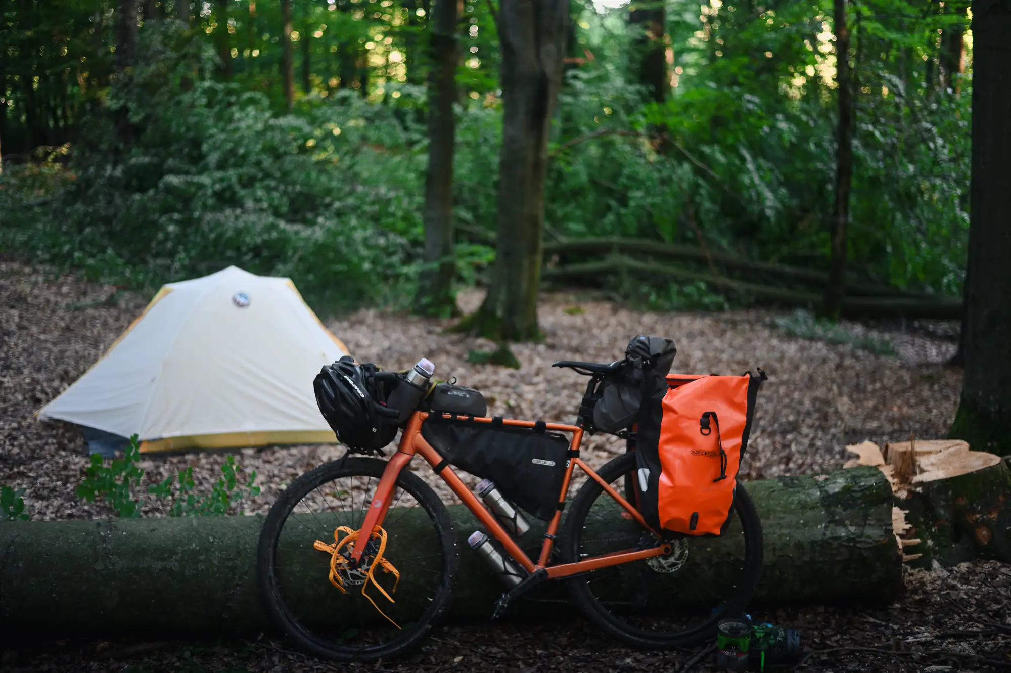 Bikepacking campsite in the forest