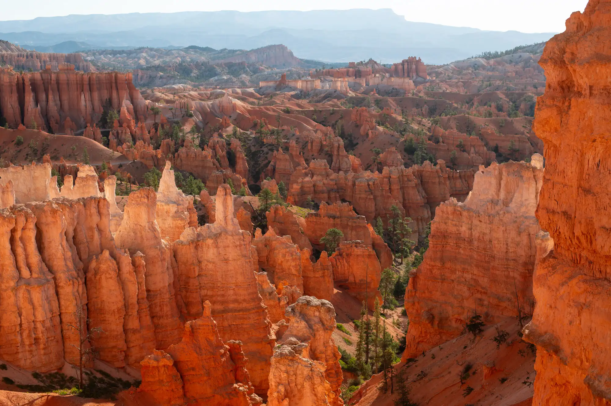 Bryce Canyon landscape
