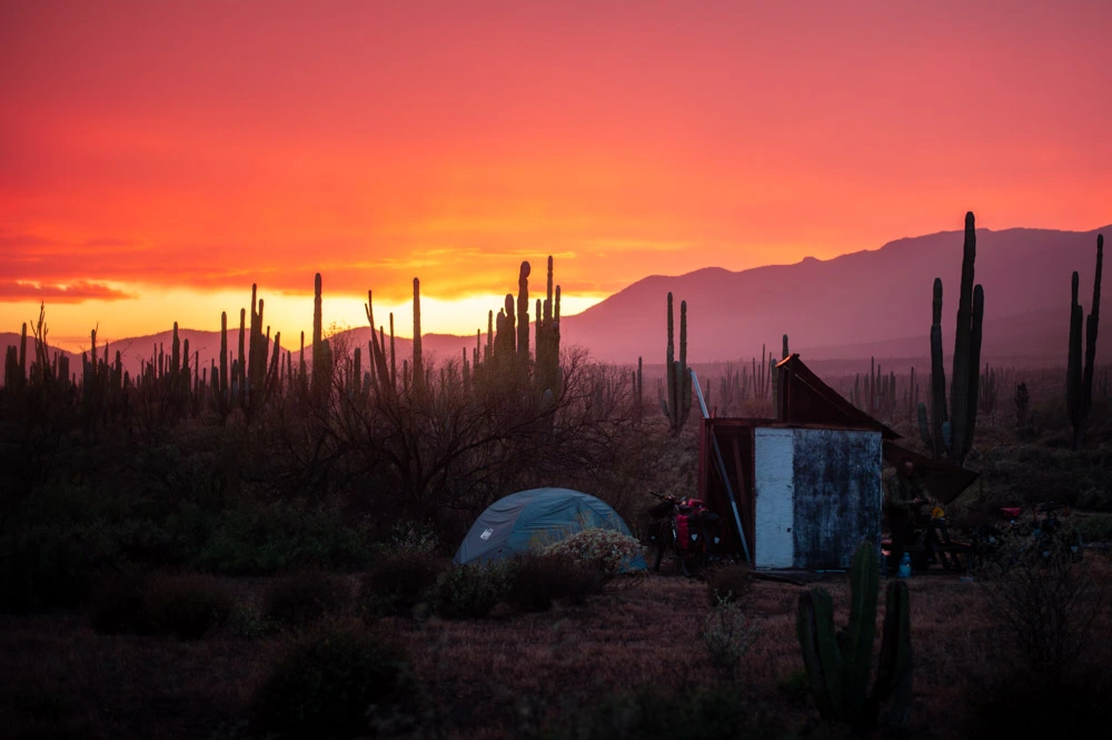 Desert campsite at sunset